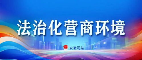 數字賦能政務服務，皖美升級彰顯數字技術力量